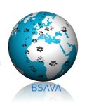 BSAVA