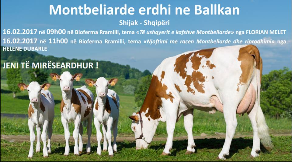 njoftim-per-panairin-e-lopeve-te-rraces-montebeliard