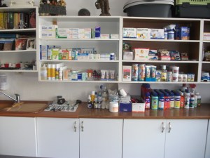 Ambjent i brendeshem