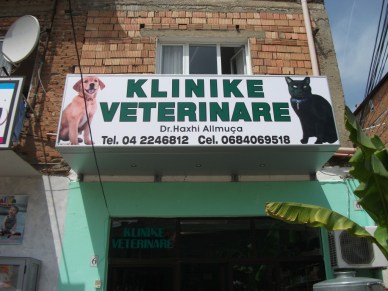 Pamje e klinikes