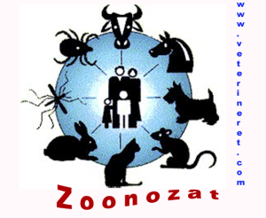 Zoonozat Zoonozat