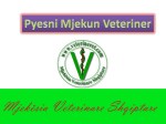 pyesni veterinerin