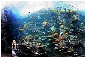 akuarium Atlanta