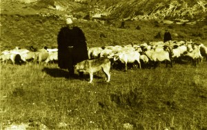 Halil Bedaj me tofen e bagetivi dhe qenin e e kopese!