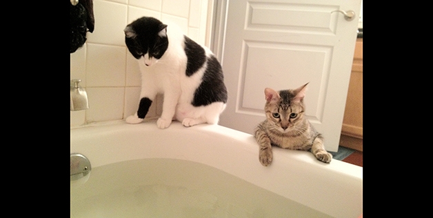 Ju asnjëherë nuk do të jeni më vetëm, na besoni; asnjëherë.