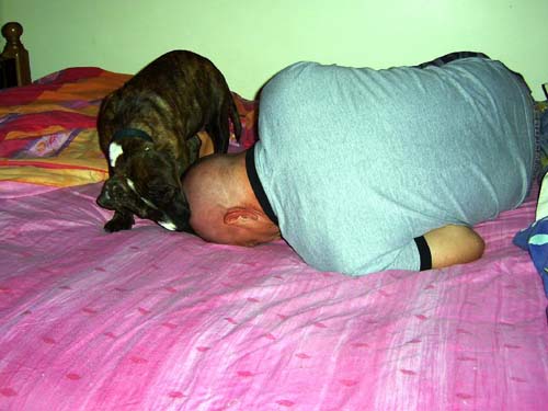 Ju sigurojmë se nuk do të kini nevojë për orë me zile