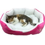 artitet mace ne krevat