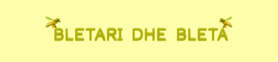 bletari dhe bleta2