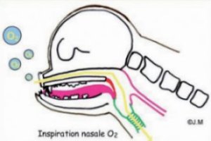 reverse_sneeze foto2