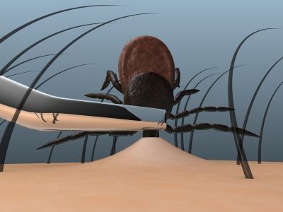 rriqnat, si ti largojme