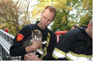 zjarrefikesi dhe macoku