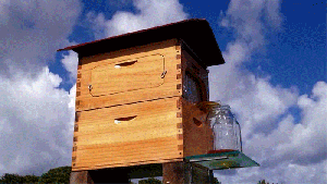 koshere automatike 2