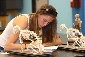 studente e veterinarise