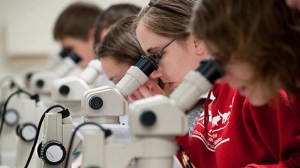 studentet e veterinarise