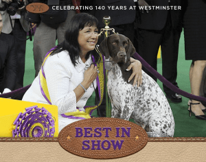 CJ me i mire ne gare