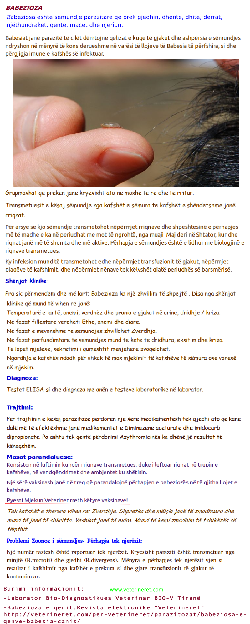 babesia Revista Veterineret