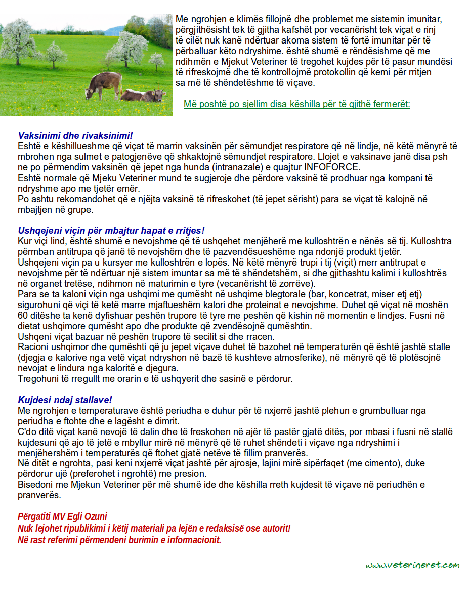 keshilla-per-vicat-ne-periudhen-e-pranveres