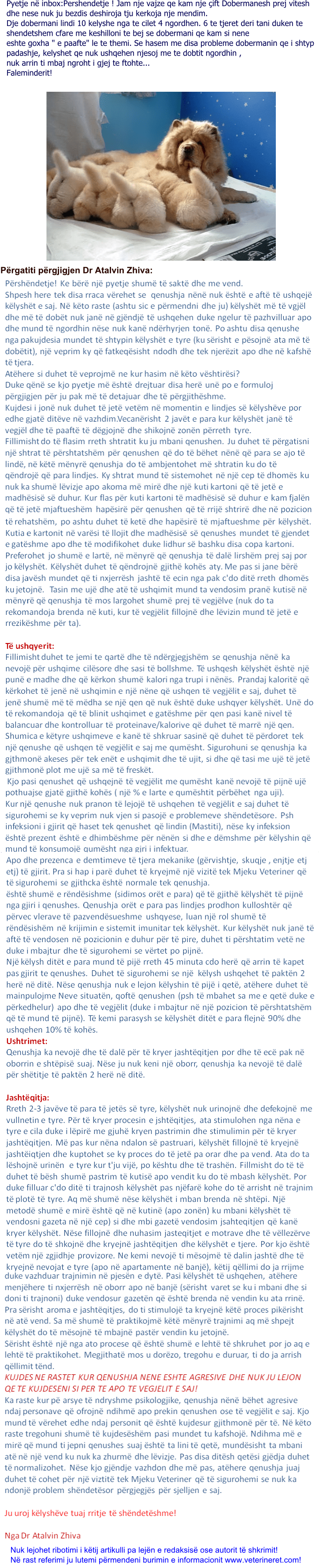 Kujdesi ndaj kelysheve