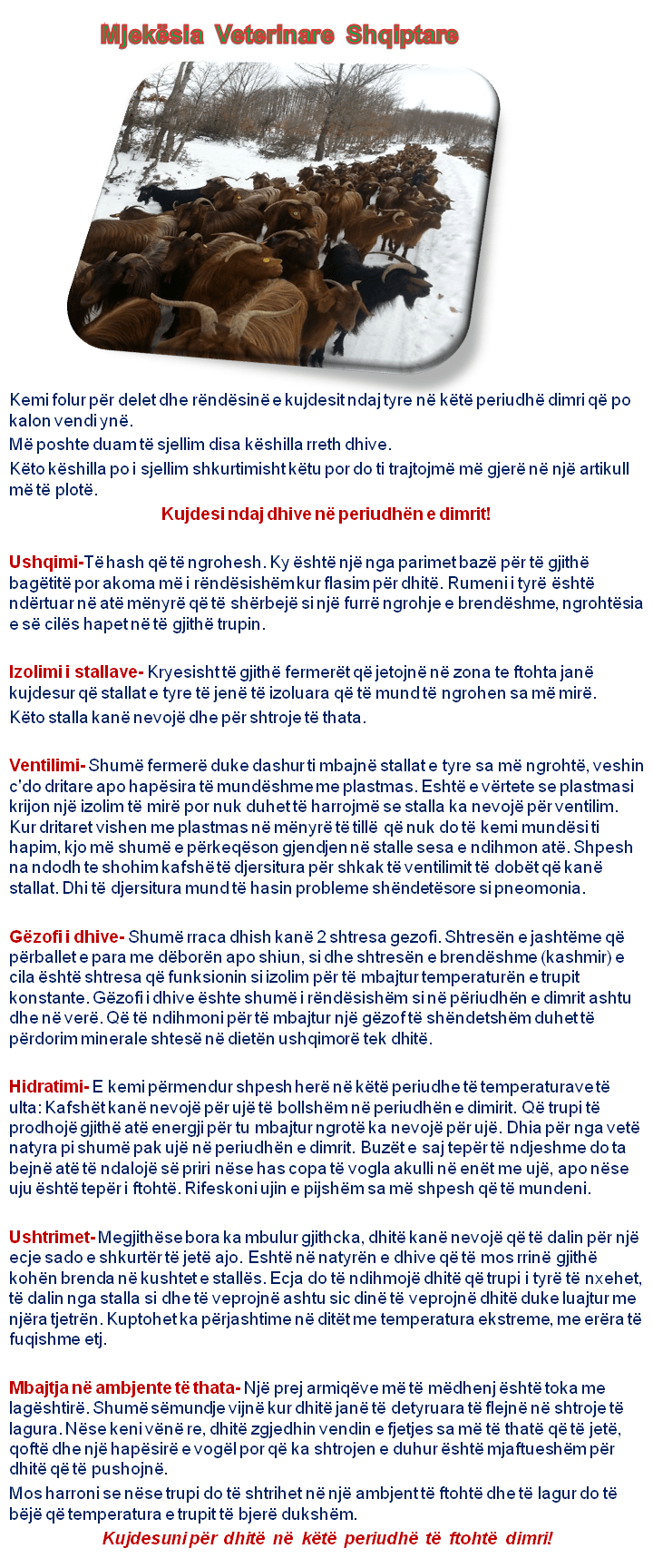 Kujdesi ndaj dhive në periudhën e dimrit!