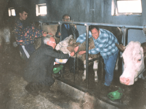 profesor-caci-ne-moment-pune