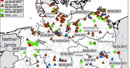 virusi-i-shpendeve-ne-gjermani