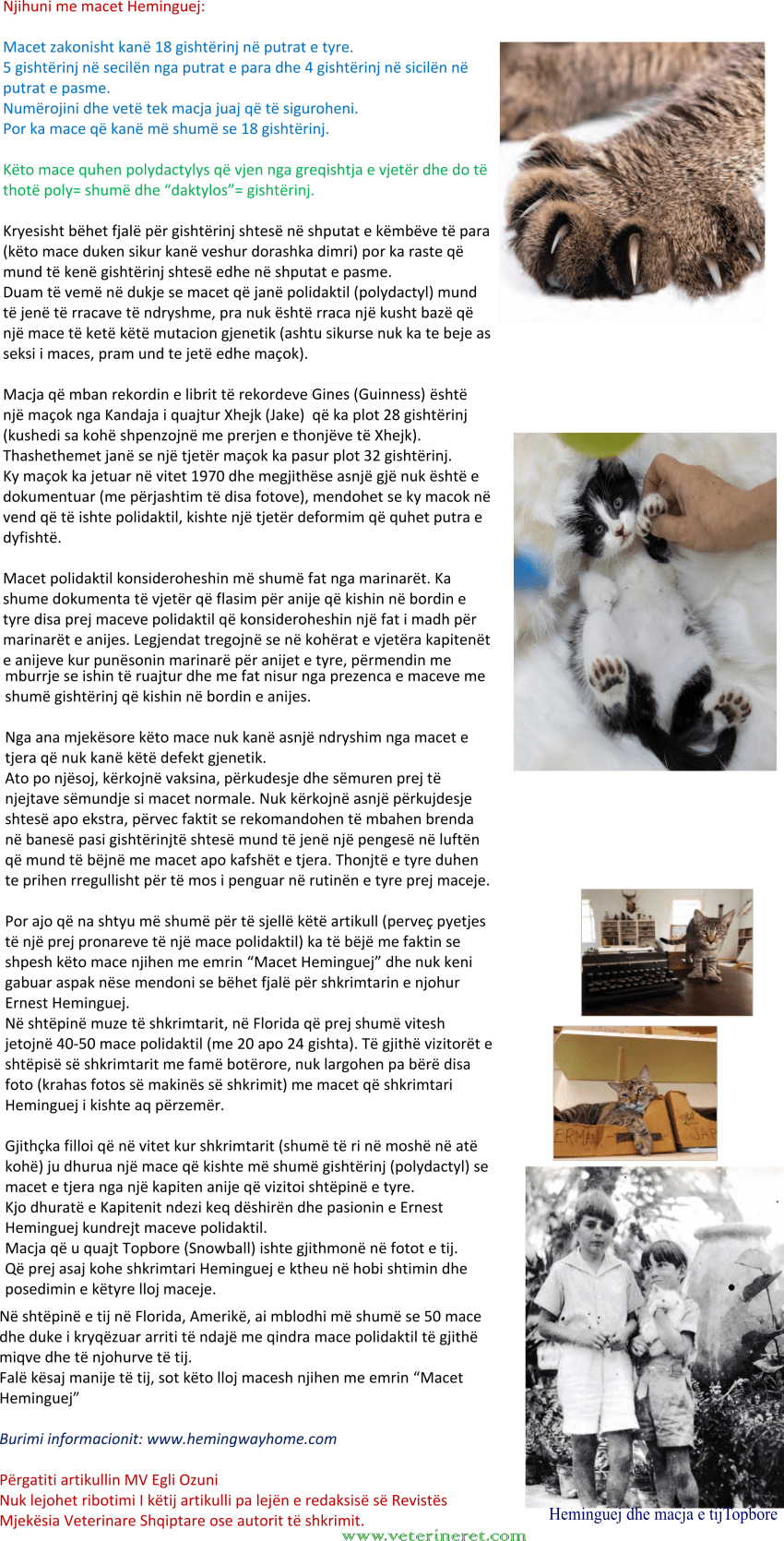 Macet Heminguej-Polydactyl